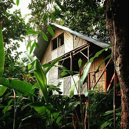 Bambu Hostel David Exteriér fotografie