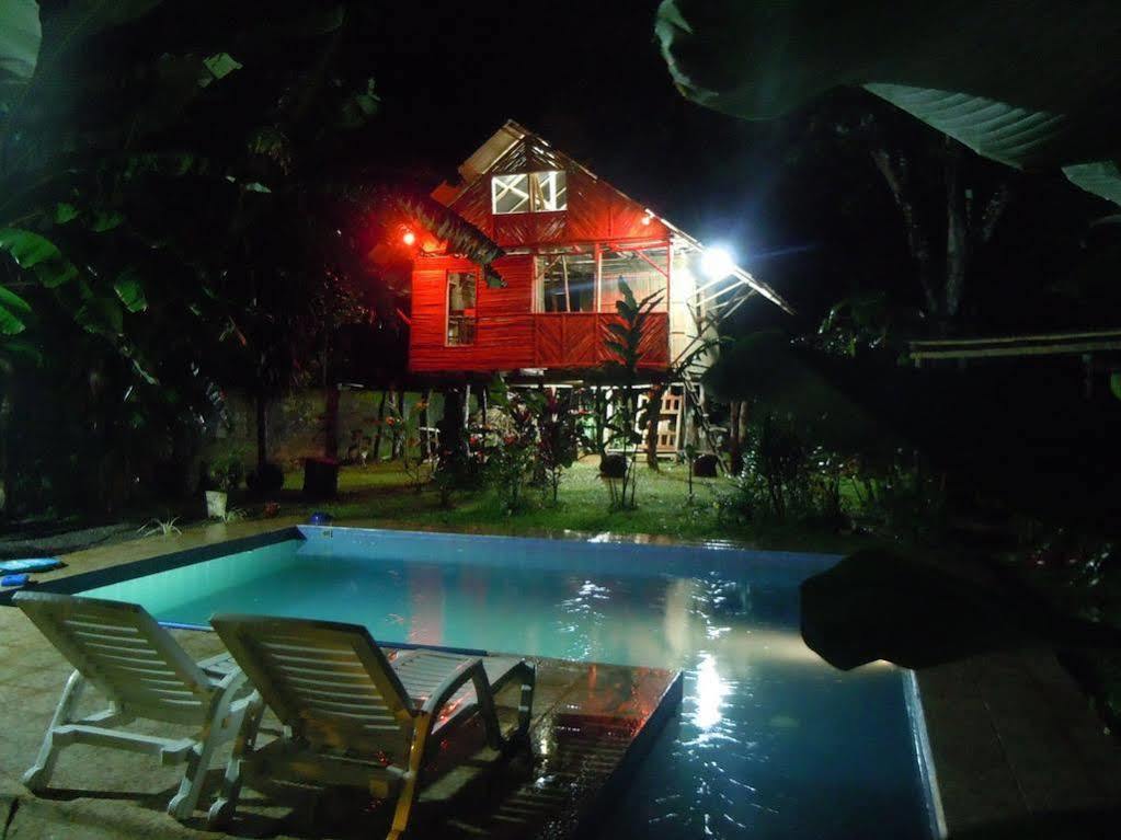 Bambu Hostel David Exteriér fotografie