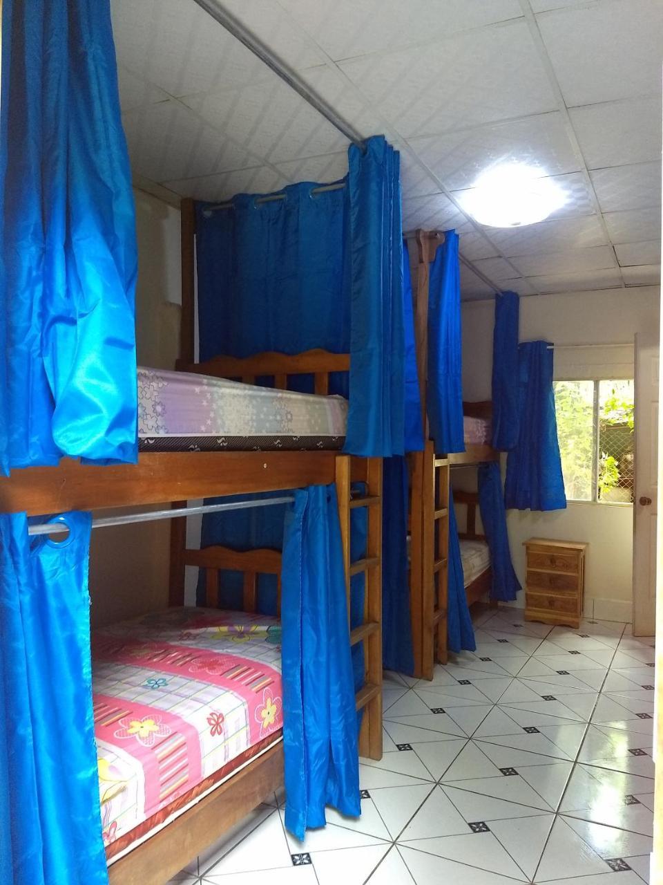 Bambu Hostel David Exteriér fotografie