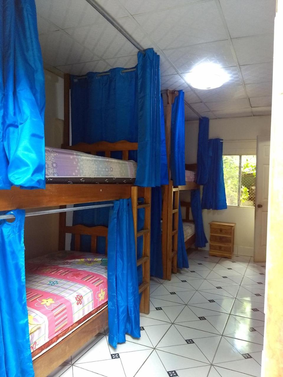 Bambu Hostel David Exteriér fotografie