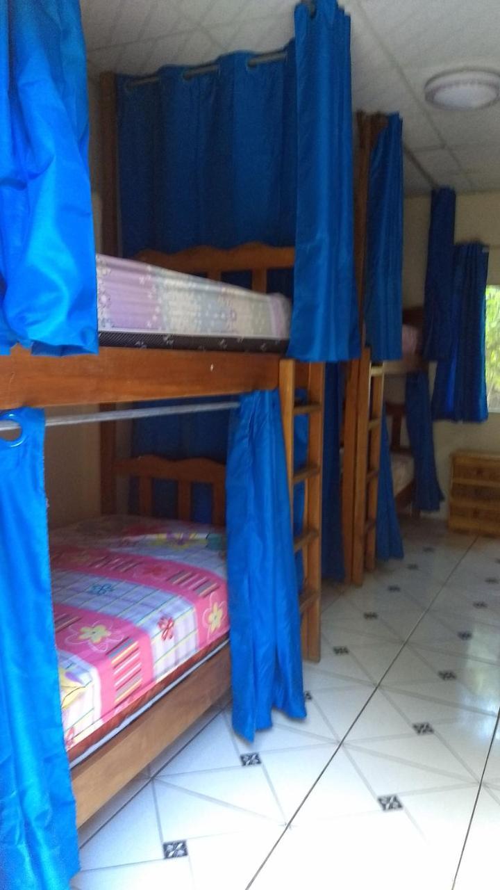 Bambu Hostel David Exteriér fotografie