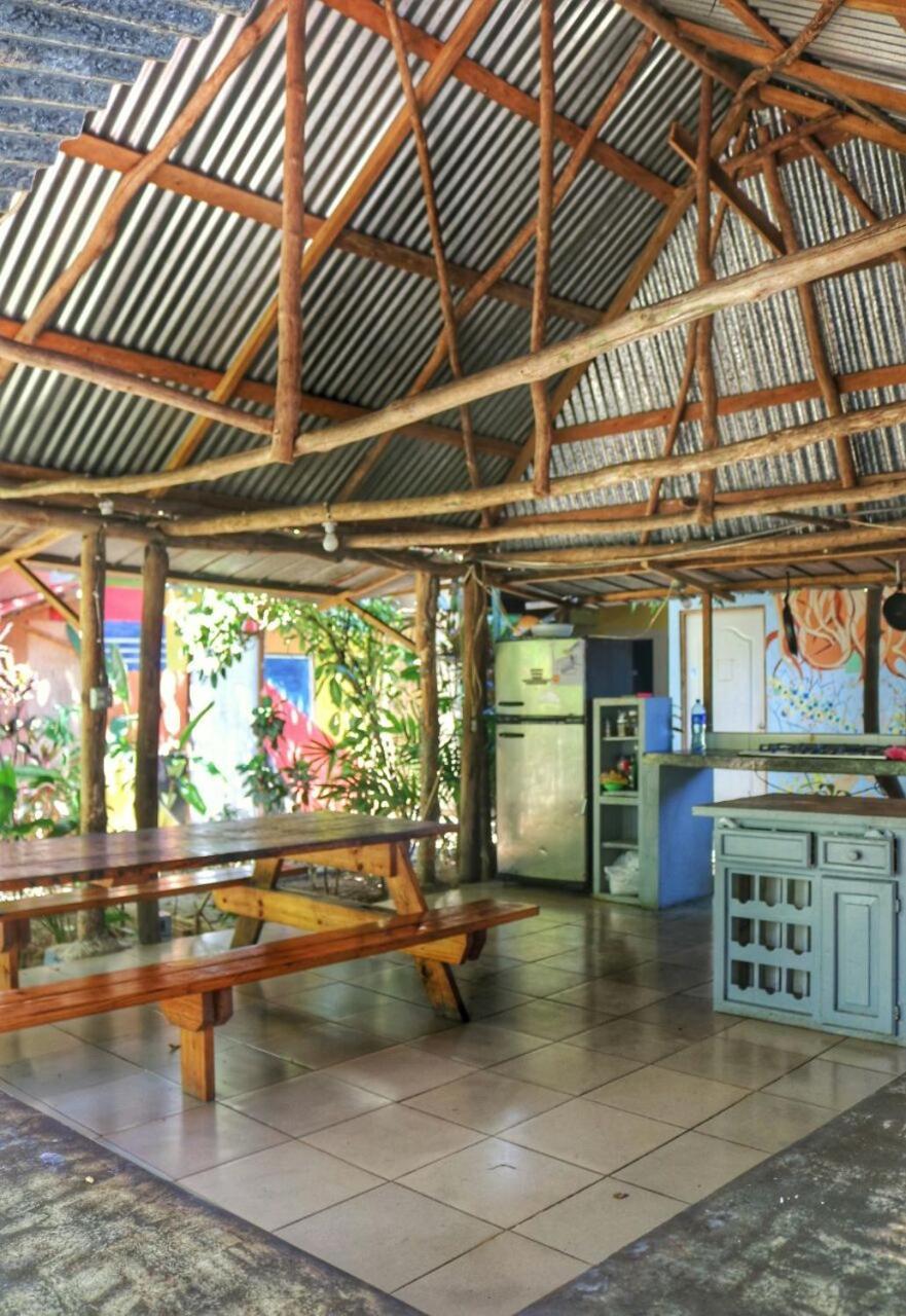 Bambu Hostel David Exteriér fotografie