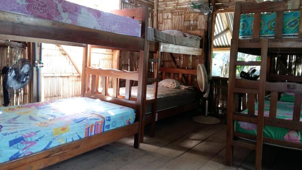 Bambu Hostel David Exteriér fotografie