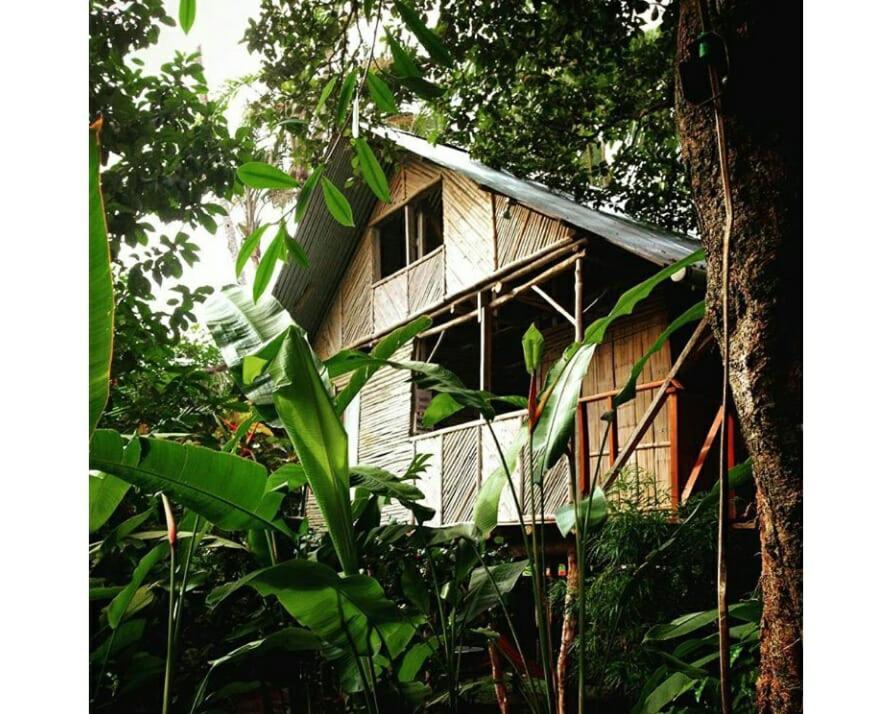 Bambu Hostel David Exteriér fotografie