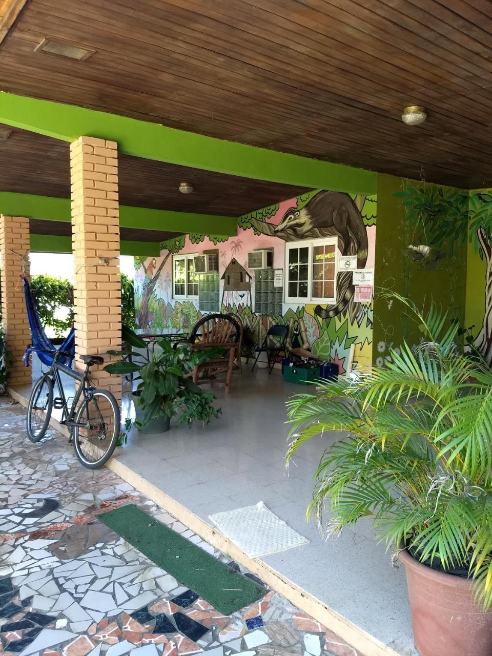 Bambu Hostel David Exteriér fotografie