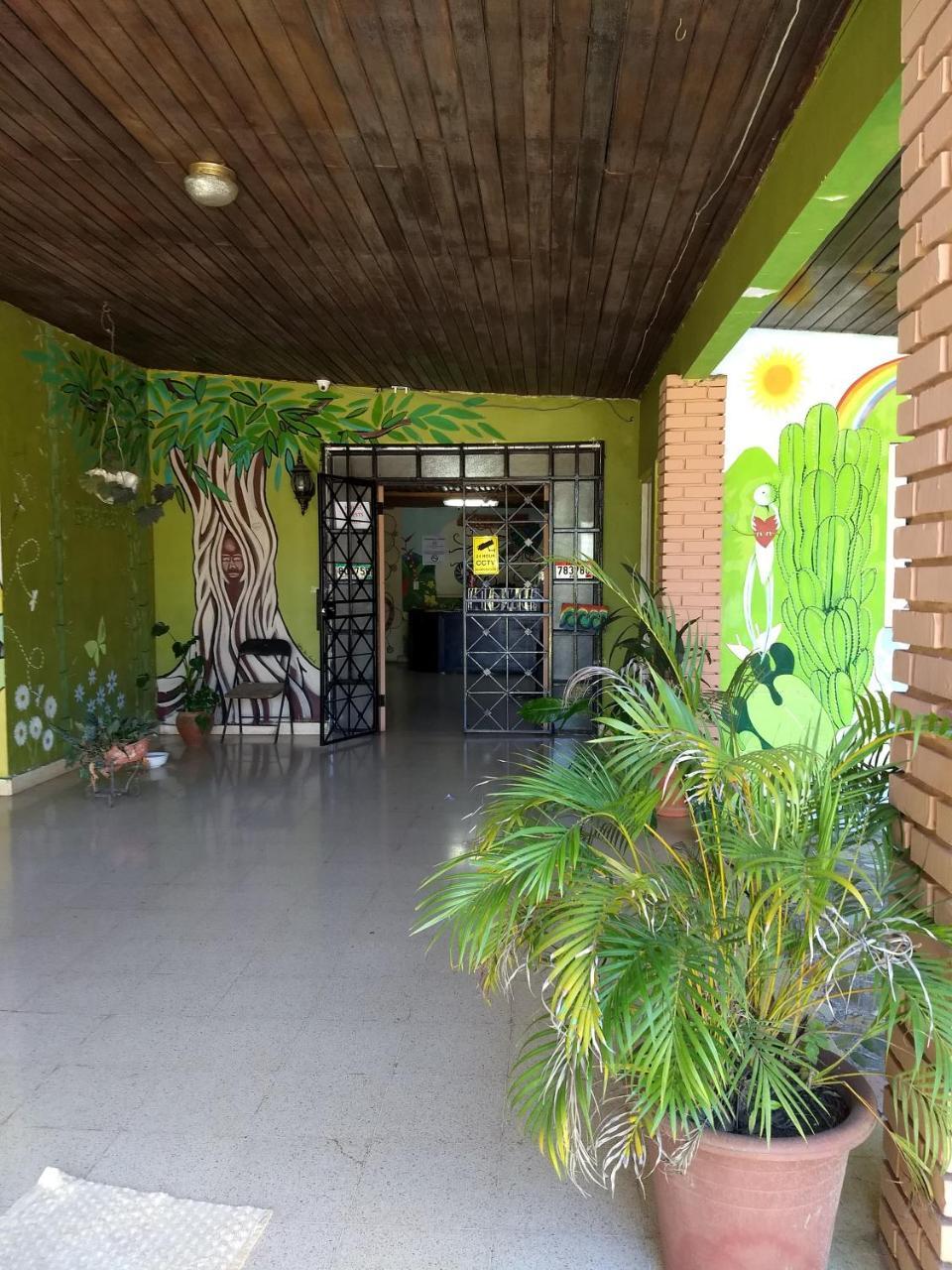 Bambu Hostel David Exteriér fotografie